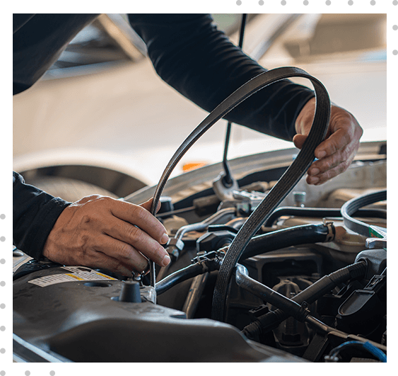 Top-Notch Timing Belt Replacement and Repair in Lutz, FL