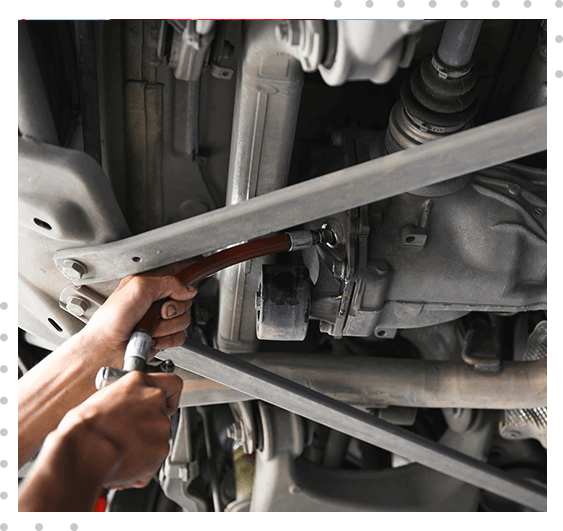 Expert Rear Differential Services in Lutz, FL