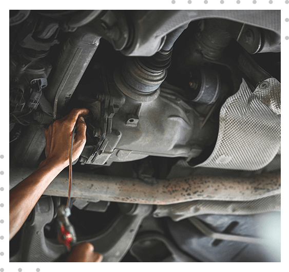 Expert Rear Differential Services in Lutz, FL